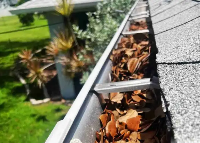 Greenville gutter cleaning home page